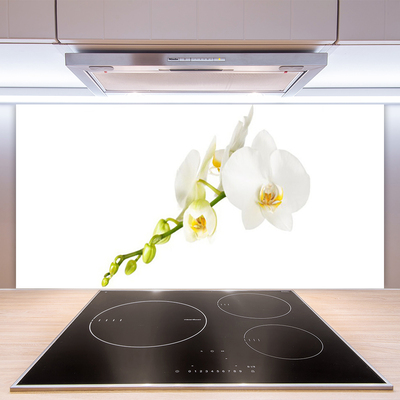 Painel cozinha Flores Planta Natureza