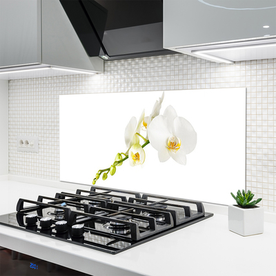 Painel cozinha Flores Planta Natureza