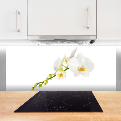 Painel cozinha Flores Planta Natureza