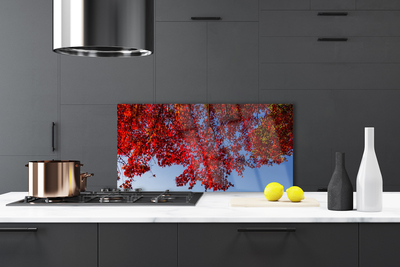 Painel vidro cozinha Folhas de árvores, galhos, natureza