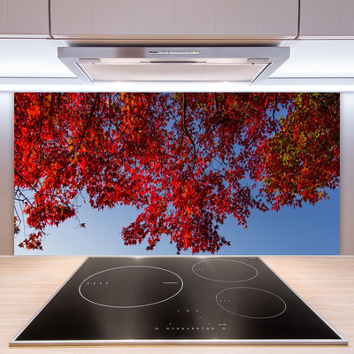 Painel vidro cozinha Folhas de árvores, galhos, natureza
