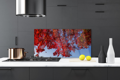 Painel vidro cozinha Folhas de árvores, galhos, natureza