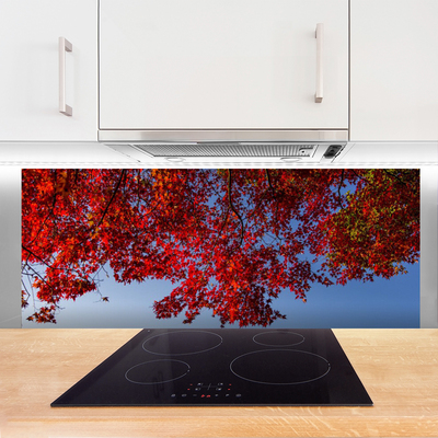 Painel vidro cozinha Folhas de árvores, galhos, natureza