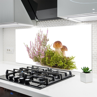 Painel cozinha Cogumelos Planta Natureza