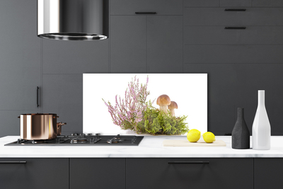 Painel cozinha Cogumelos Planta Natureza
