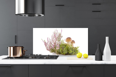 Painel cozinha Cogumelos Planta Natureza