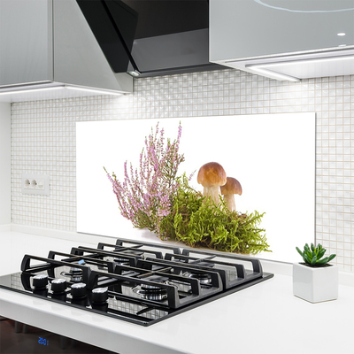 Painel cozinha Cogumelos Planta Natureza