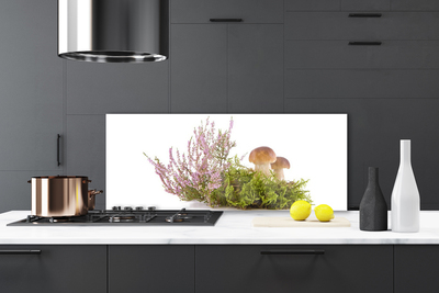 Painel cozinha Cogumelos Planta Natureza