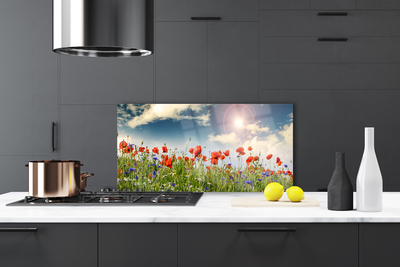 Painel vidro cozinha Flores do Prado Sol Natureza