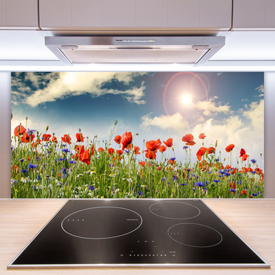 Painel vidro cozinha Flores do Prado Sol Natureza