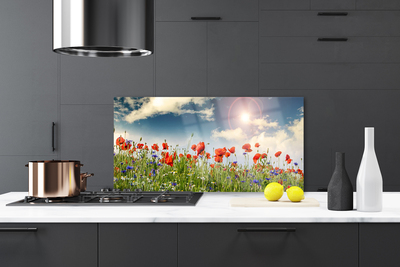 Painel vidro cozinha Flores do Prado Sol Natureza