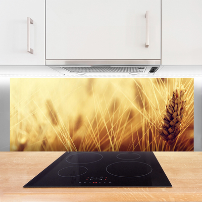 Painel vidro cozinha Natureza da planta de trigo