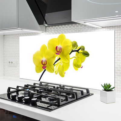 Painel vidro cozinha Flores Planta Natureza