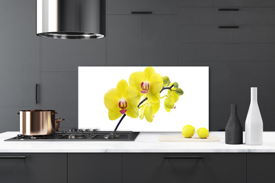 Painel vidro cozinha Flores Planta Natureza