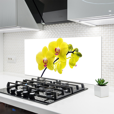 Painel vidro cozinha Flores Planta Natureza