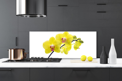 Painel vidro cozinha Flores Planta Natureza
