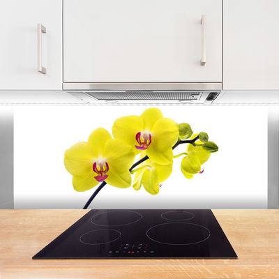 Painel vidro cozinha Flores Planta Natureza