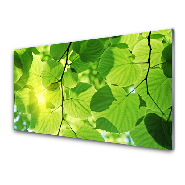 Painel cozinha Folhas Natureza Planta