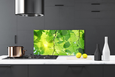 Painel cozinha Folhas Natureza Planta