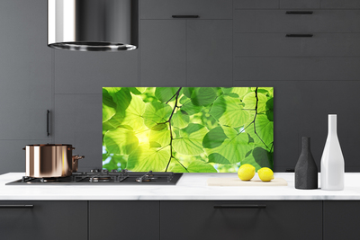 Painel cozinha Folhas Natureza Planta