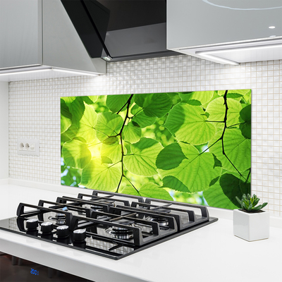 Painel cozinha Folhas Natureza Planta