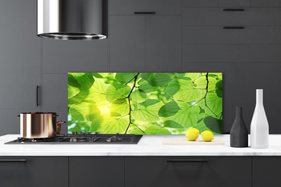 Painel cozinha Folhas Natureza Planta