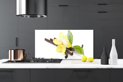 Painel vidro cozinha Planta de folhas de baunilha