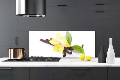 Painel vidro cozinha Planta de folhas de baunilha