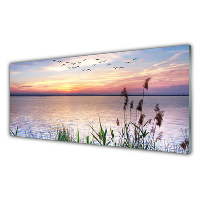 Painel cozinha Paisagem do céu do mar de Patka