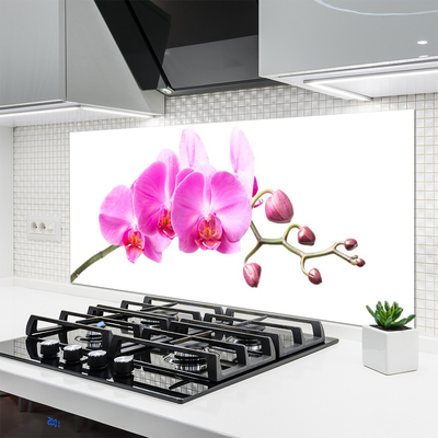 Painel cozinha Flores Planta Natureza