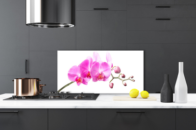 Painel cozinha Flores Planta Natureza