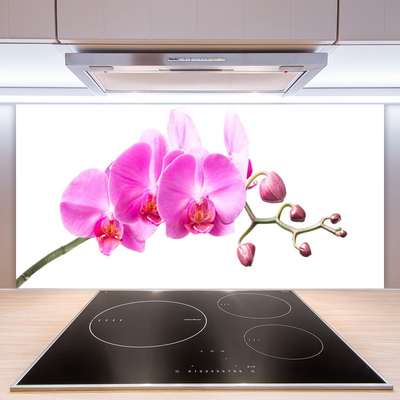 Painel cozinha Flores Planta Natureza