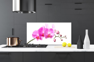 Painel cozinha Flores Planta Natureza