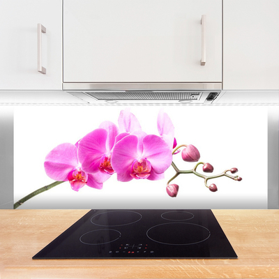 Painel cozinha Flores Planta Natureza