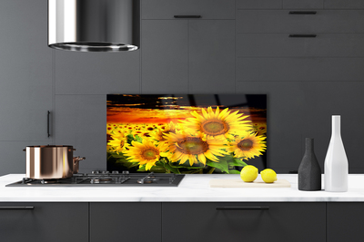 Painel vidro cozinha Planta de flor de girassol