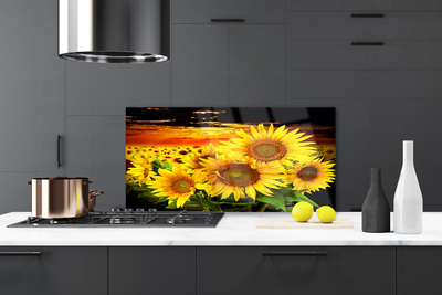 Painel vidro cozinha Planta de flor de girassol