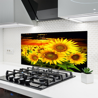 Painel vidro cozinha Planta de flor de girassol