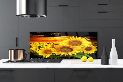 Painel vidro cozinha Planta de flor de girassol