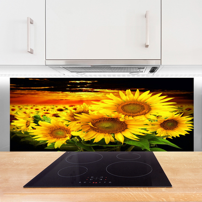 Painel vidro cozinha Planta de flor de girassol