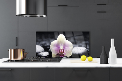 Painel cozinha Planta de orquídea flor
