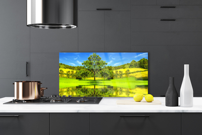 Painel cozinha Natureza da Árvore do Prado