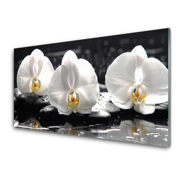 Painel cozinha Flor de orquídea branca