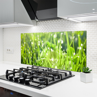 Painel vidro cozinha Natureza da planta grama