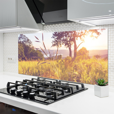 Painel vidro cozinha Prado Grama Árvore Natureza