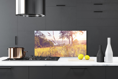 Painel vidro cozinha Prado Grama Árvore Natureza
