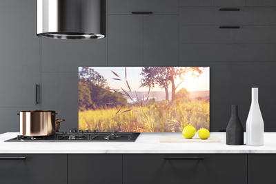 Painel vidro cozinha Prado Grama Árvore Natureza