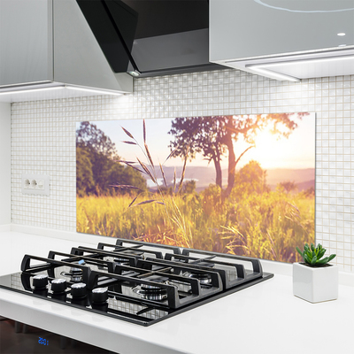 Painel vidro cozinha Prado Grama Árvore Natureza