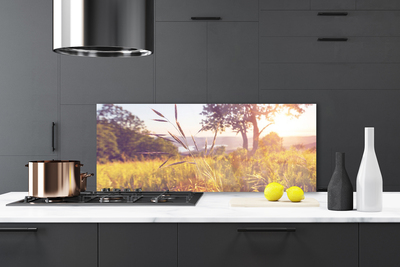 Painel vidro cozinha Prado Grama Árvore Natureza