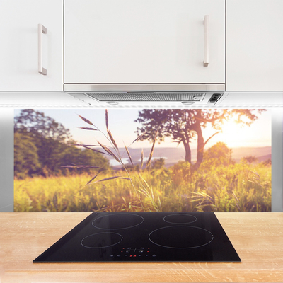 Painel vidro cozinha Prado Grama Árvore Natureza