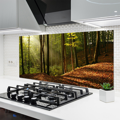 Painel cozinha Árvores da Floresta Natureza